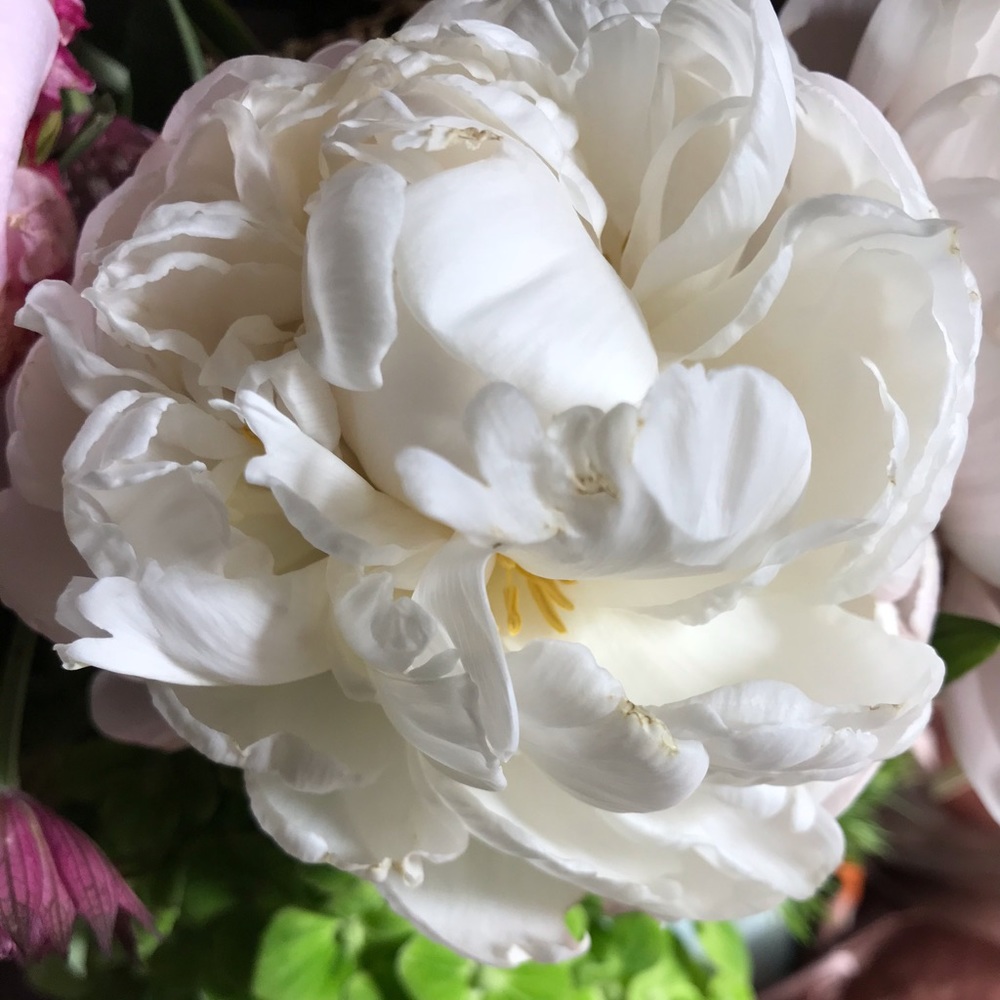 Meet your Posher, SK5702